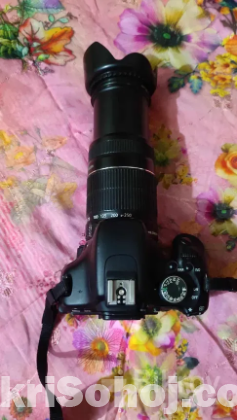 Canon 600D with 55-250 Zoom lench